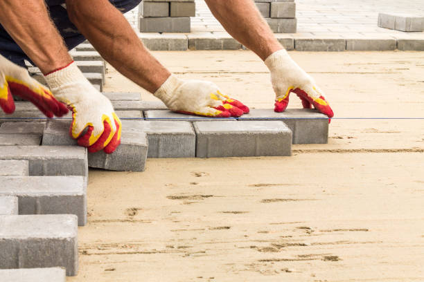 Best Local Driveway Pavers  in Lake Arbor, MD