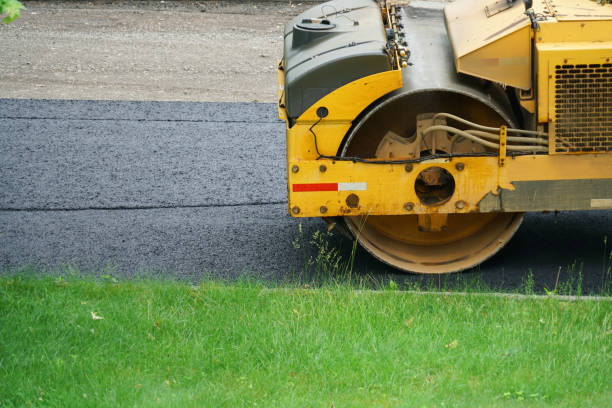 Best Custom Driveway Pavers  in Lake Arbor, MD